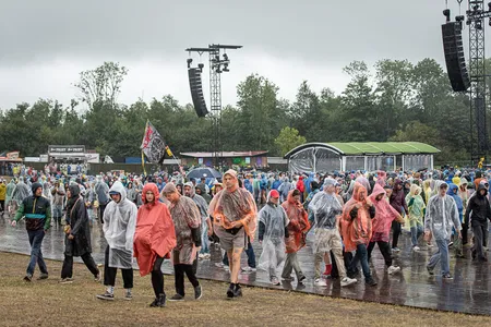 Down The Rabbit Hole