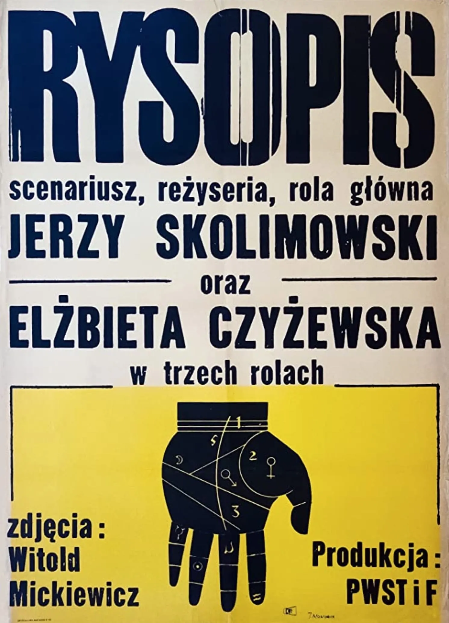 Rysopis poster
