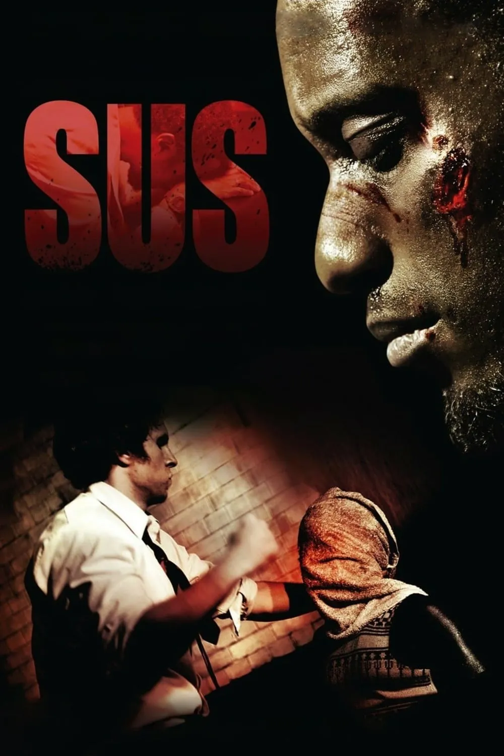 Sus poster