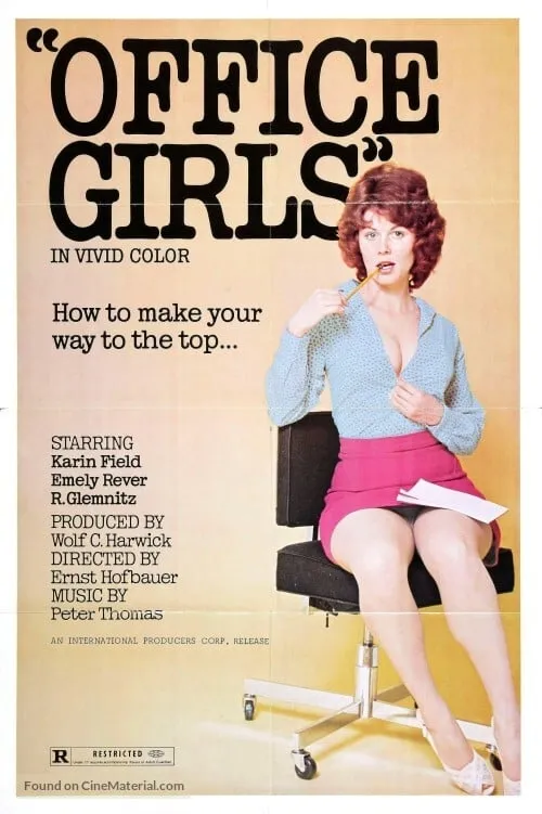 Erotik im Beruf - Was jeder Personalchef gern verschweigt poster