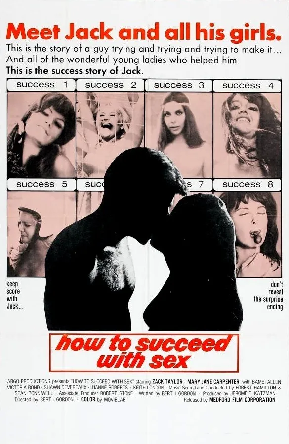How to Succeed with Sex poster