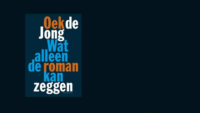 Wat alleen de roman kan zeggen