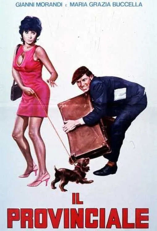 Il provinciale poster
