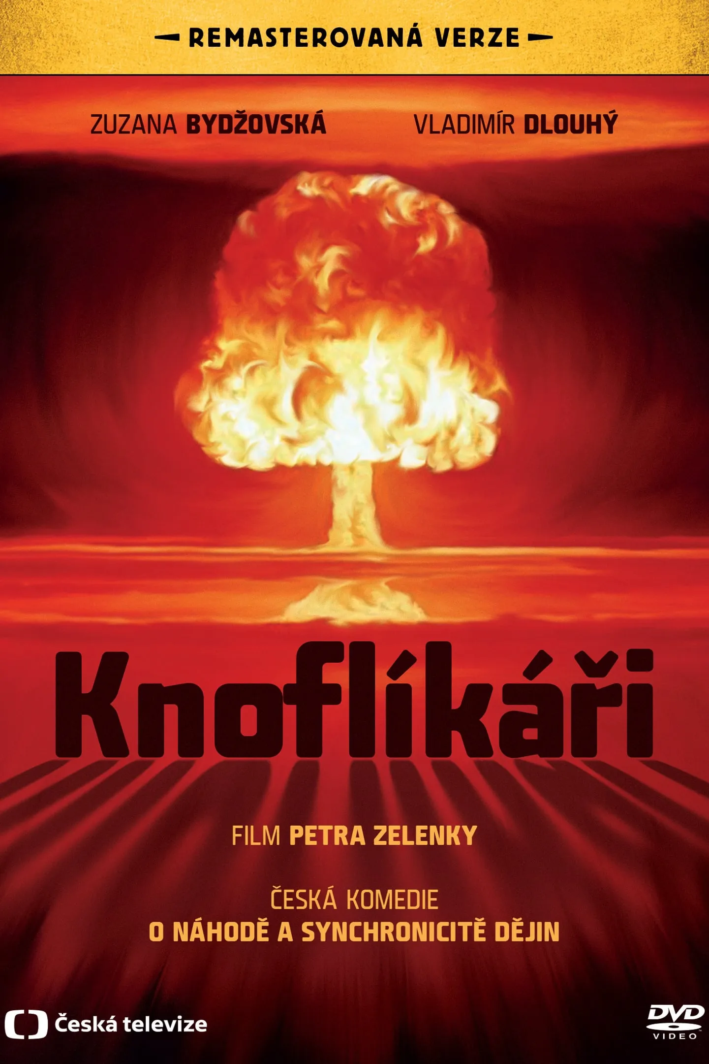 Knoflíkári poster