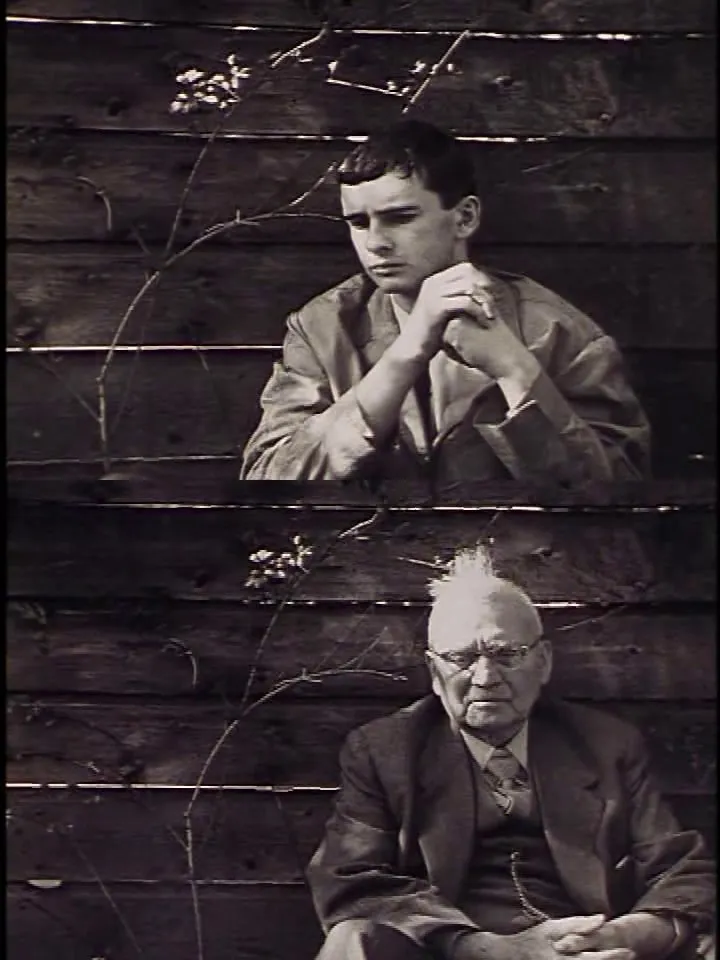 Vakantie van de filmer poster