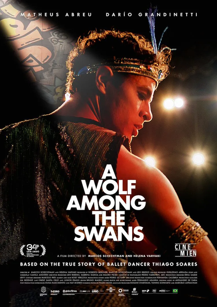 A Wolf Among The Swans poster