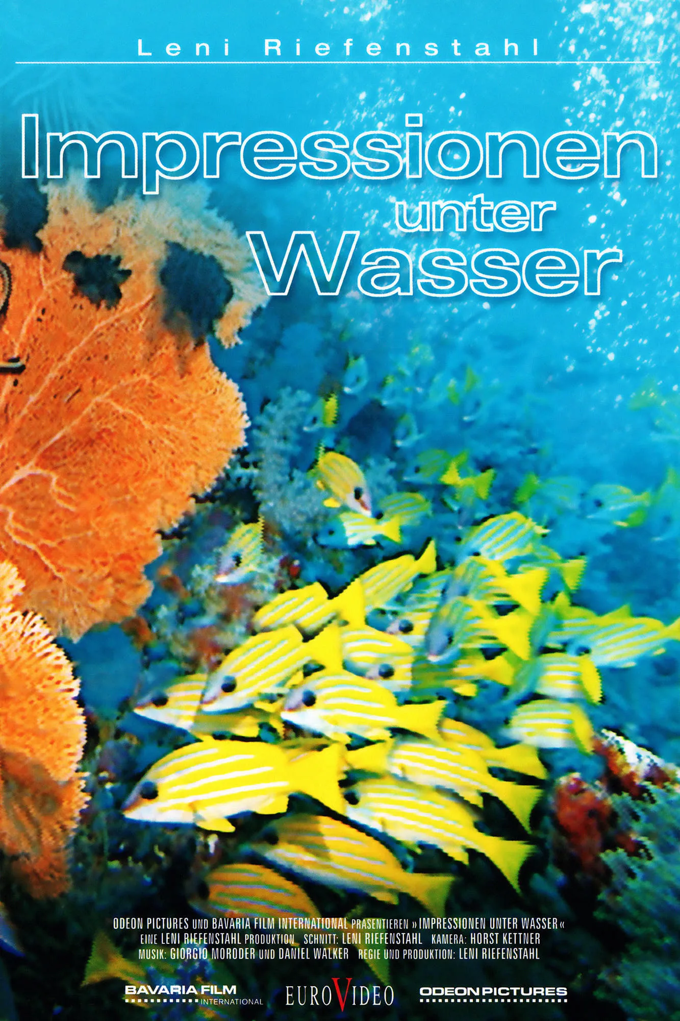 Impressionen unter Wasser poster