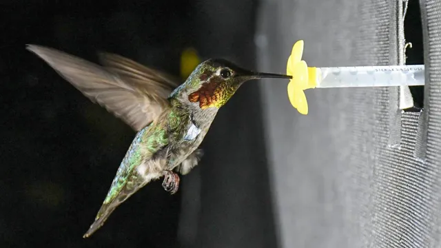 paradisolezingen 2022