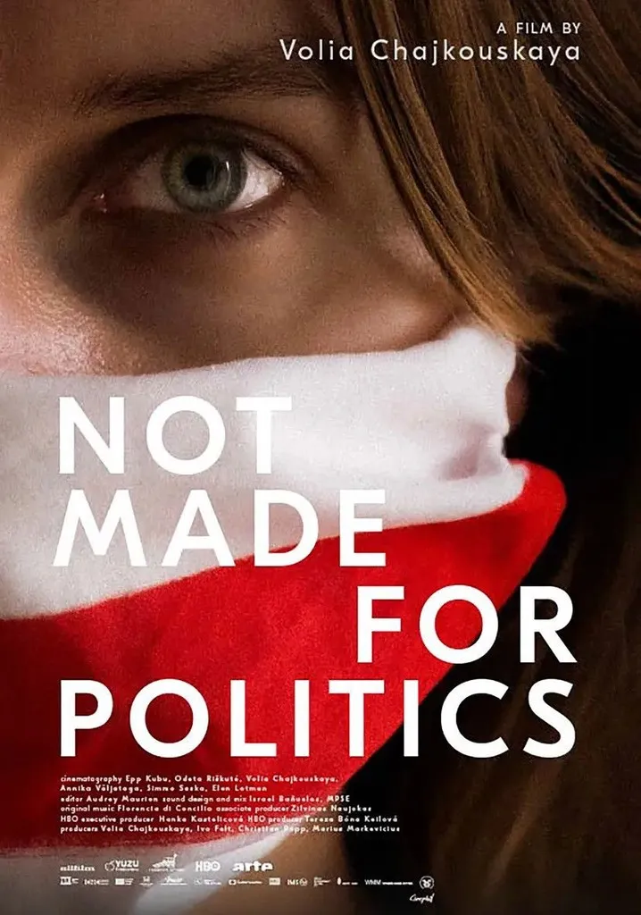 Not Made for Politics poster
