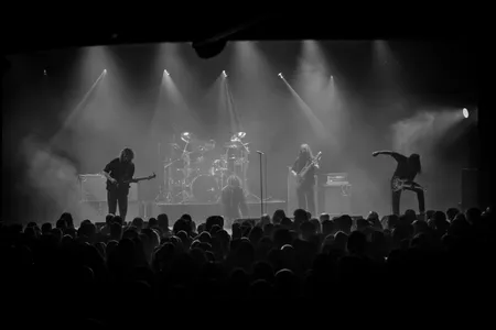 Fluisteraars in Doornroosje