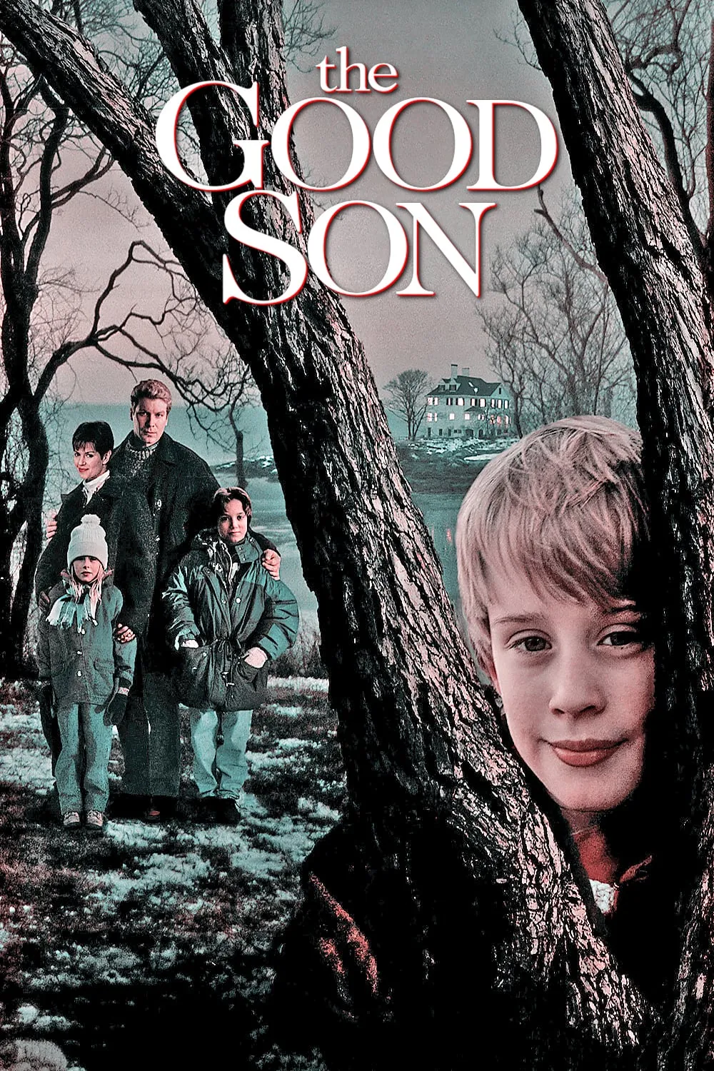 The Good Son poster