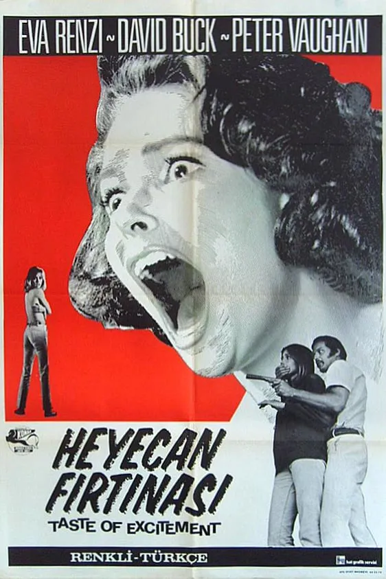 Why Would Anyone Want To Kill A Nice Gi poster