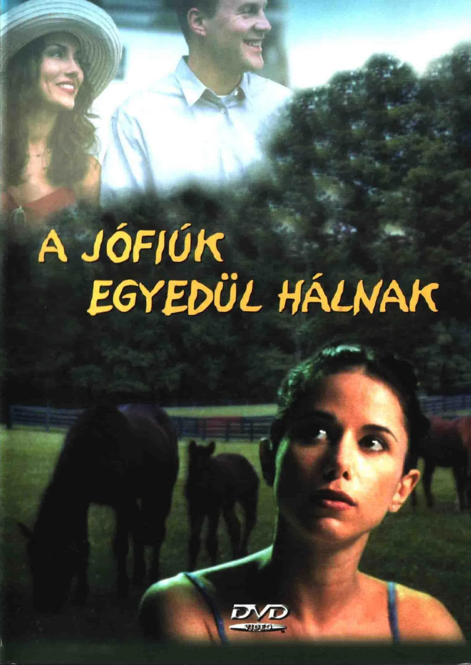 Nice Guys Sleep Alone poster