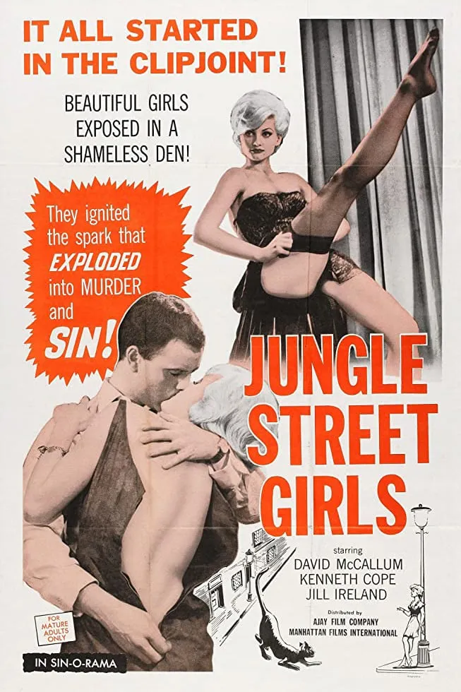 Jungle Street poster