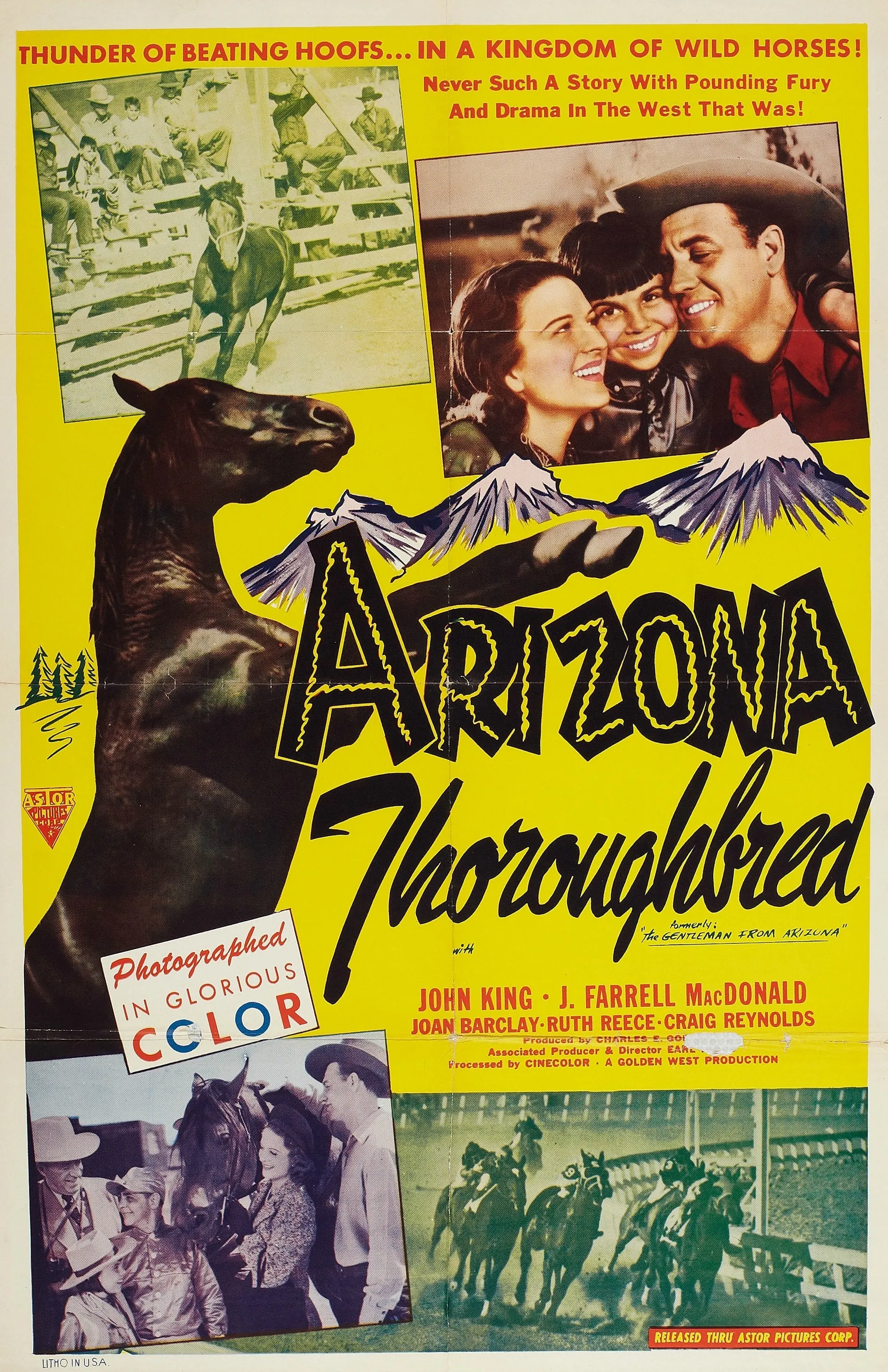 The Gentleman from Arizona poster