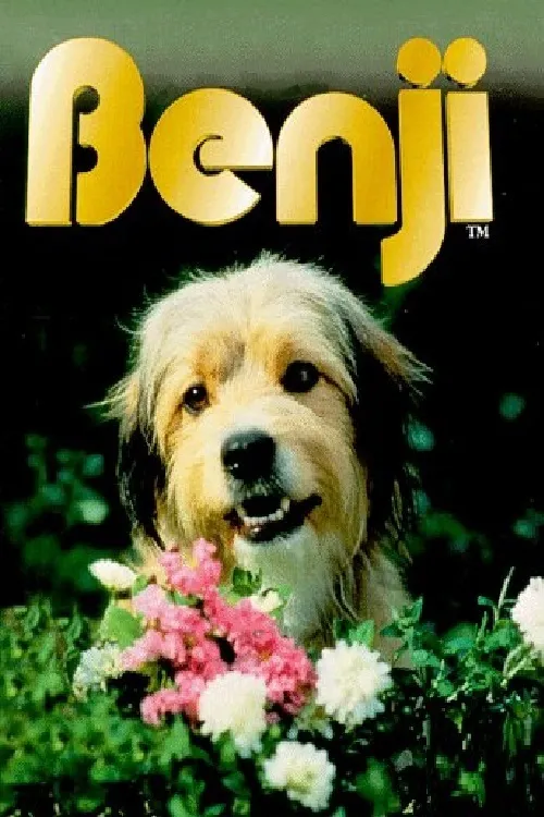 Benji poster