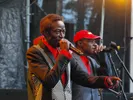 Orchestre Les Mangelepa op Afrika Festival Hertme