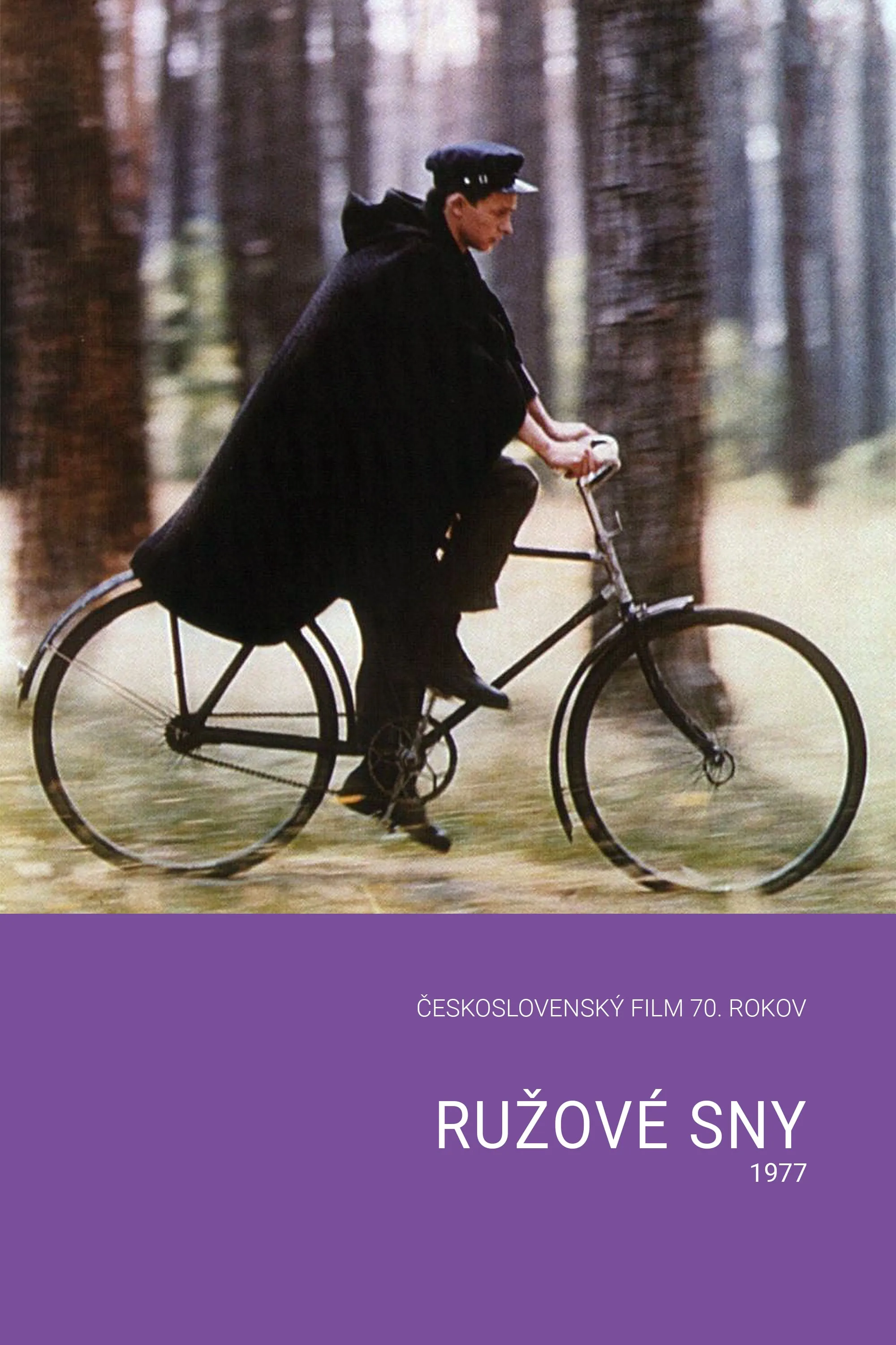 Ruzové sny poster
