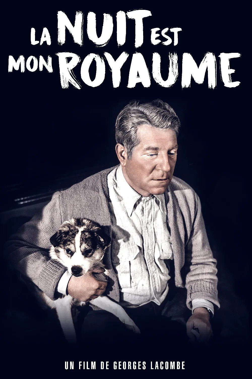 La Nuit est mon royaume poster
