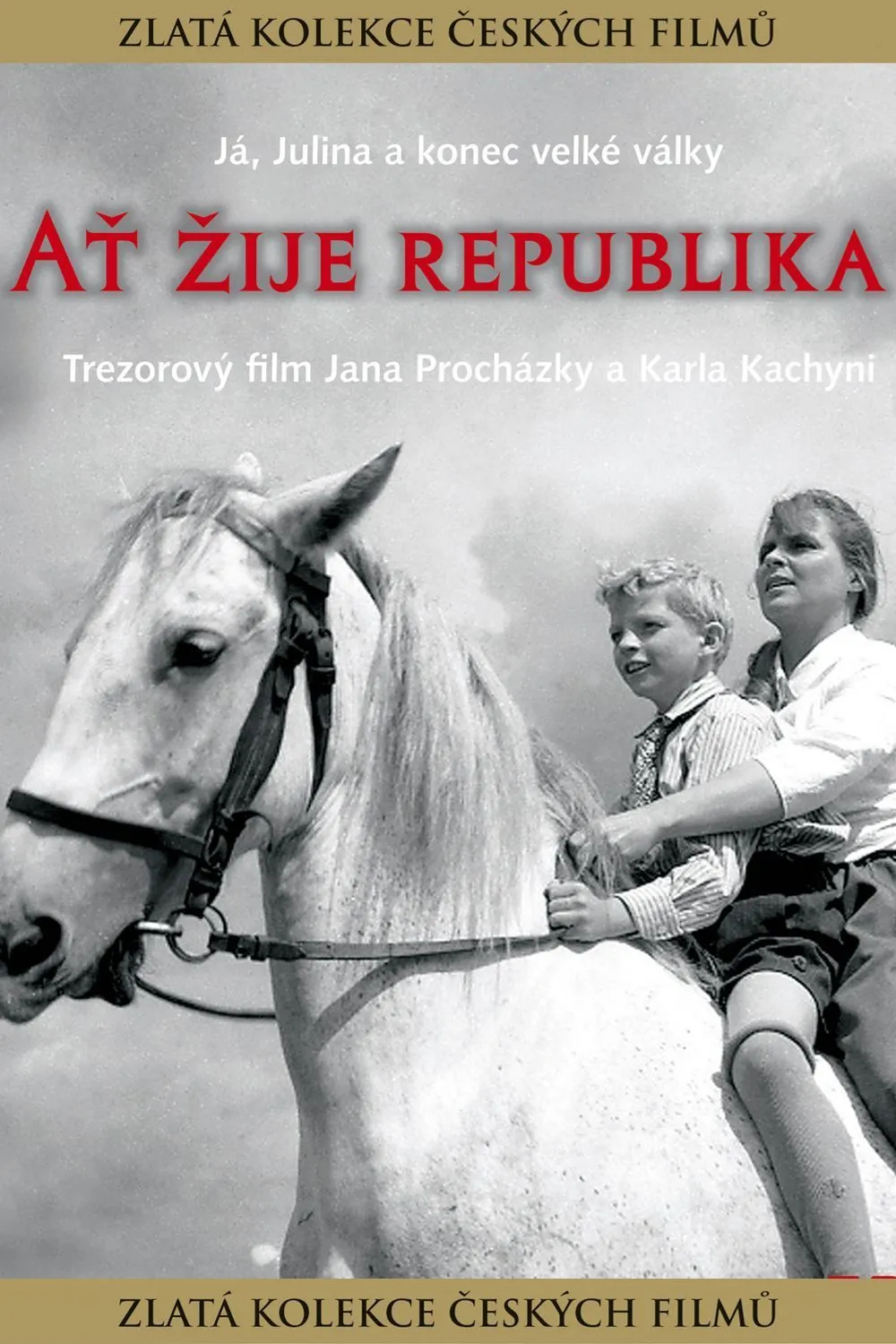 At zije republika poster