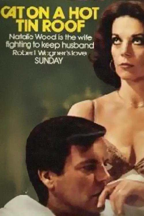 Cat on a Hot Tin Roof poster