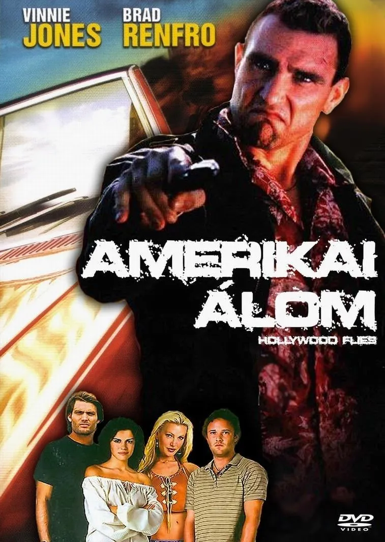 Hollywood Flies poster