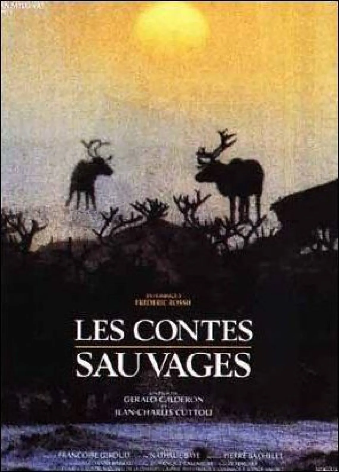Les contes sauvages poster