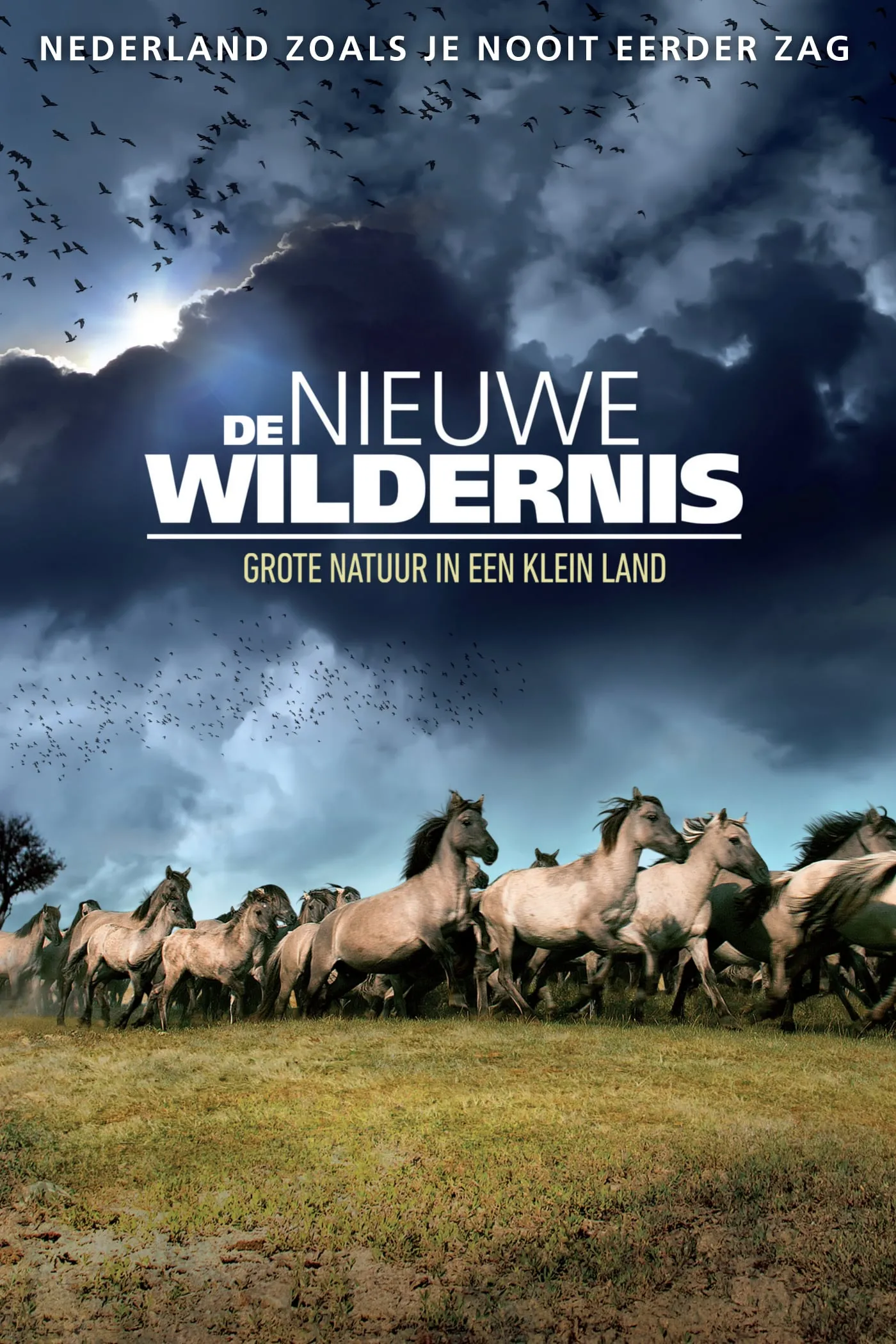 De nieuwe wildernis poster