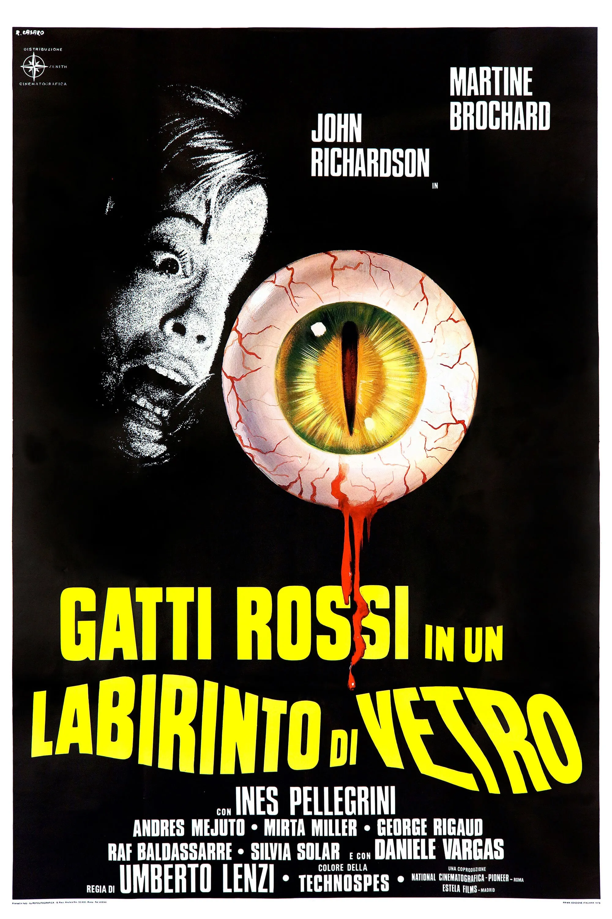 Gatti rossi in un labirinto di vetro poster