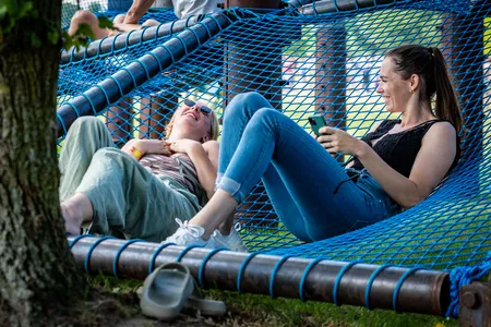 Down The Rabbit Hole 2022