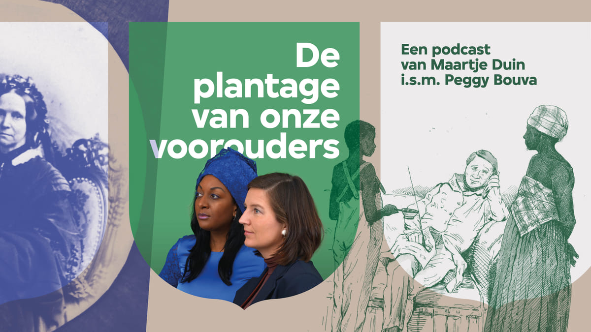 De plantage van onze voorouders
