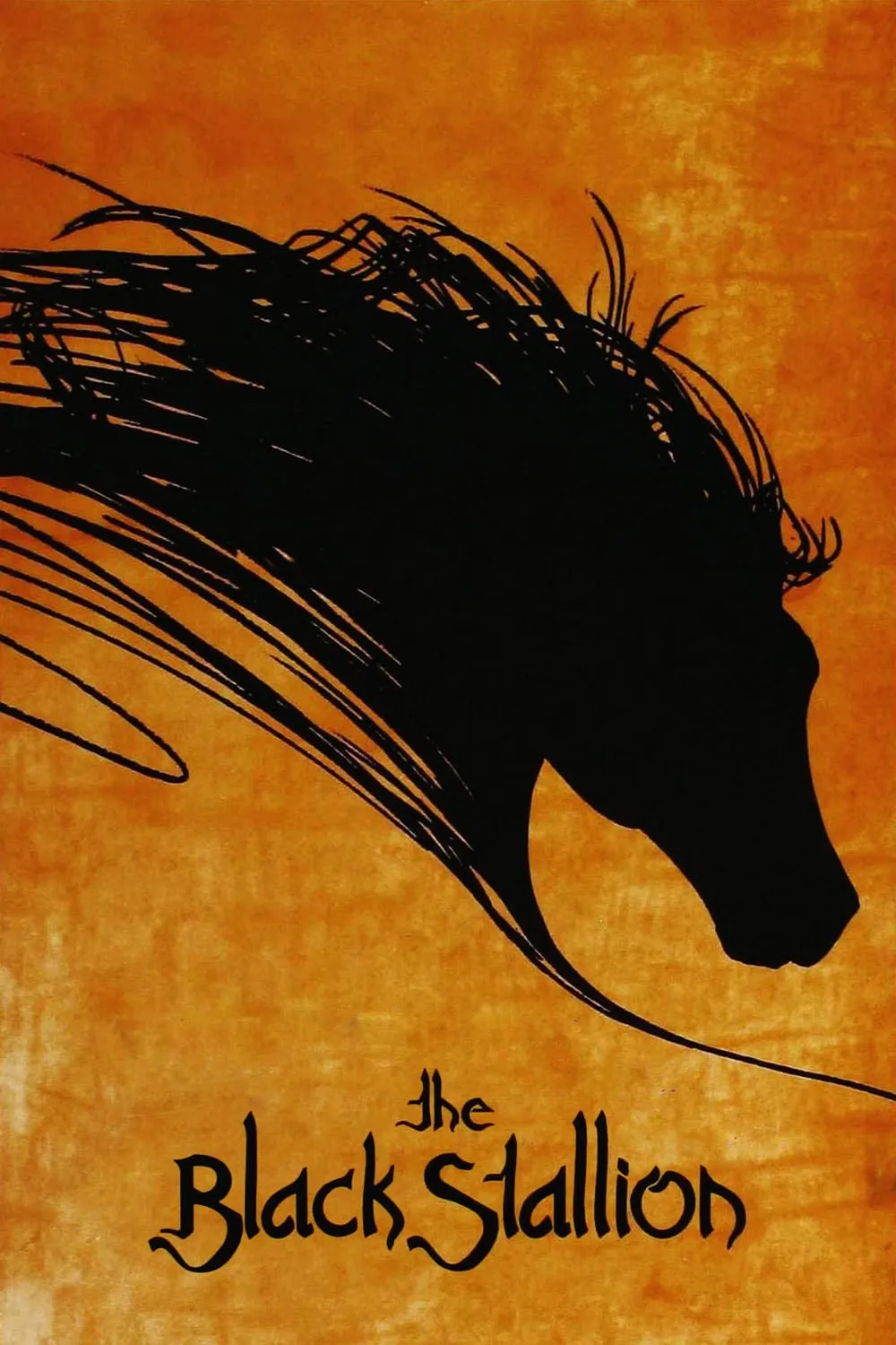 The Black Stallion poster