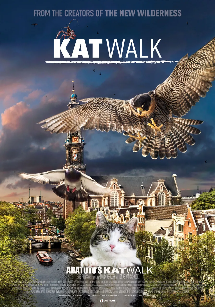 Katwalk poster