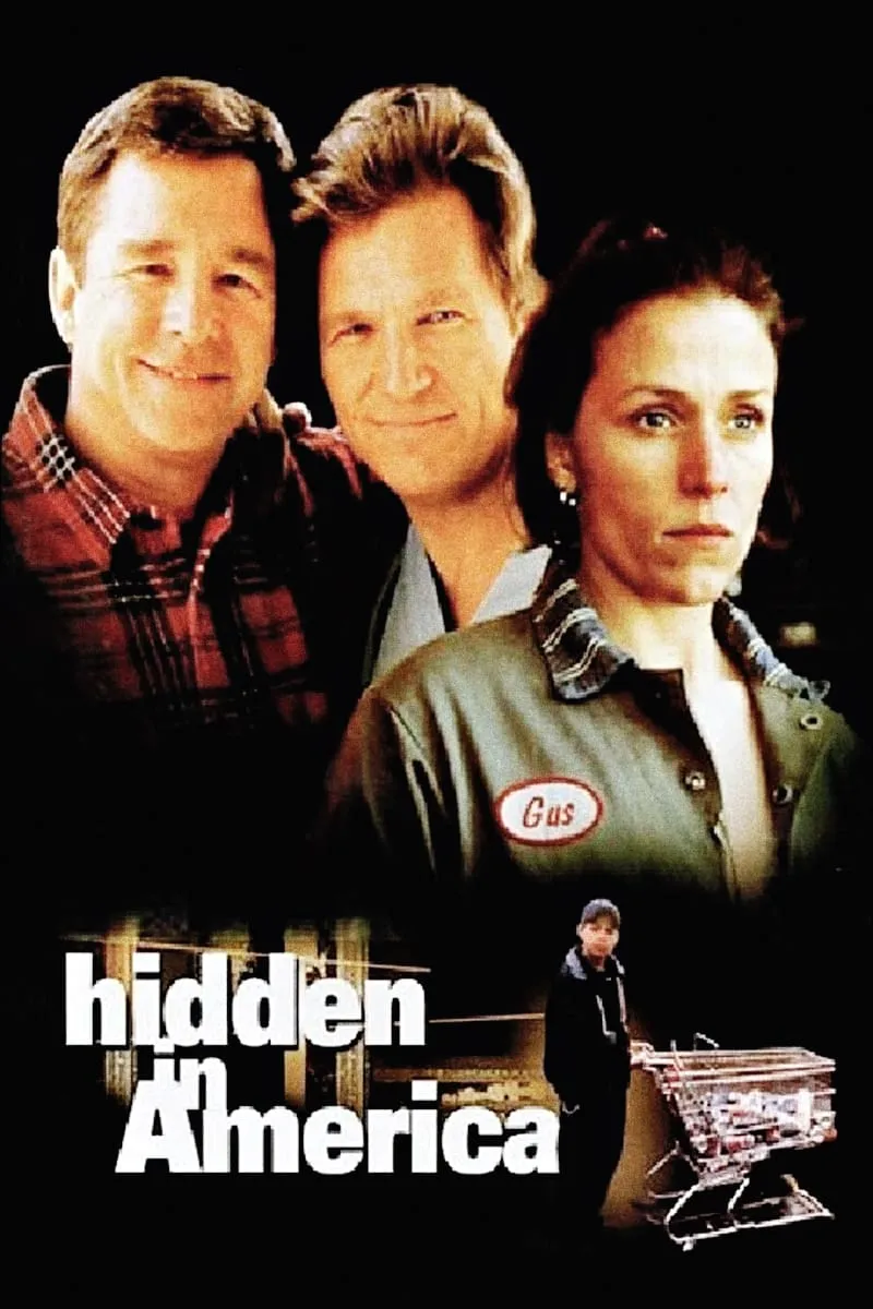 Hidden In America poster