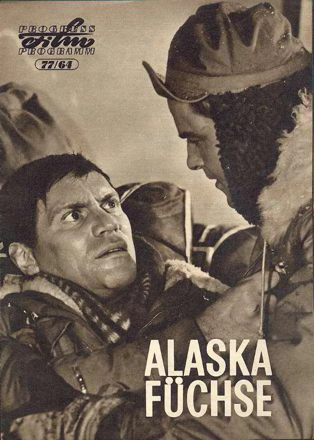 Alaskafüchse poster