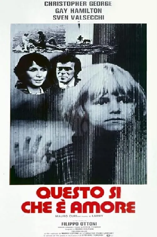 Questo si che è amore poster